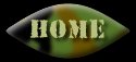 camhome