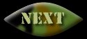 camnext