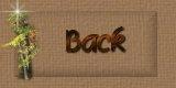 thejourney3back.jpg
