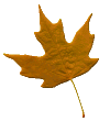 woodbullet2