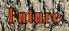 woodfuture